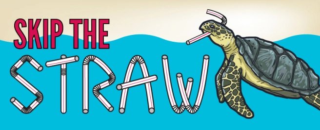 Skip the Straw,” save a sea turtle – South Lakes Sentinel